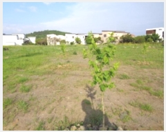  2024Ÿ��25642  �����