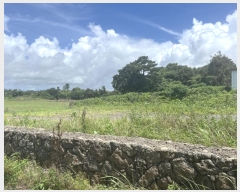  2024Ÿ��29446  ���������