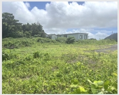  2024Ÿ��29446  ���������