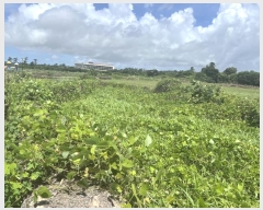  2024Ÿ��29446  ���������