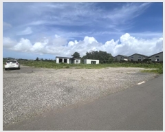  2024Ÿ��29446  ���������