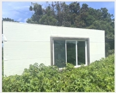  2024Ÿ��29446  ���������