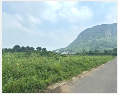  2024Ÿ��30798  �������