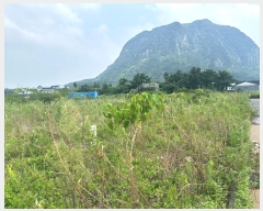  2024Ÿ��30798  �������