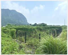  2024Ÿ��30798  �������