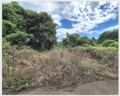  2024Ÿ��30972 ���� �������� ������ ������ 2111      ����(�Ӿ�)���