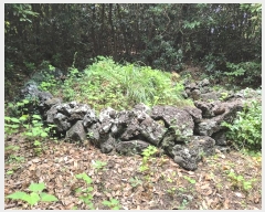  2024Ÿ��30972 ���� �������� ������ ������ 2111      ����(�Ӿ�)���