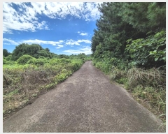  2024Ÿ��30972 ���� �������� ������ ������ 2111      ����(�Ӿ�)���