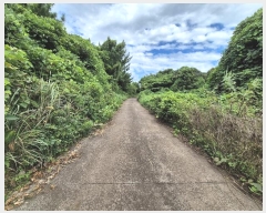  2024Ÿ��30972 ���� �������� ������ ������ 2111      ����(�Ӿ�)���