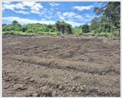  2024Ÿ��30972 ���� �������� ������ ������ 2111      ����(�Ӿ�)���