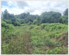  2024Ÿ��30972 ���� �������� ������ ������ 2111      ����(�Ӿ�)���