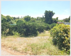  2024Ÿ��31159 ���� �������� ��ȯ�� 1057       ����(��1)���