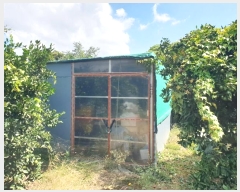  2024Ÿ��31159 ���� �������� ��ȯ�� 1057       ����(��1)���