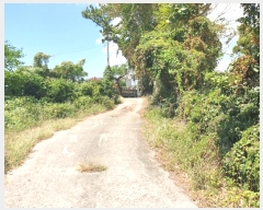  2024Ÿ��31159 ���� �������� ��ȯ�� 1057       ����(��1)���