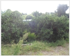  2024Ÿ��31159 ���� �������� ��ȯ�� 1057       ����(��1)���