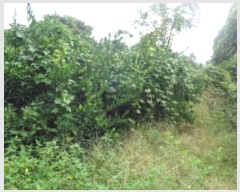  2024Ÿ��31159 ���� �������� ��ȯ�� 1057       ����(��1)���