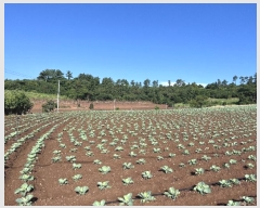  2024Ÿ��31241  �Ӿ߰��