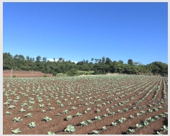  2024Ÿ��31241  �Ӿ߰��