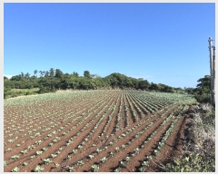  2024Ÿ��31241  �Ӿ߰��