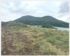  2024Ÿ��31982  �����