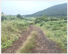  2024Ÿ��31982  �����