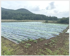  2024Ÿ��31982  �����