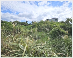  2024Ÿ��32244 ���� ���ֽ� �Ѱ�� ������ 3242-1      ����(������)���