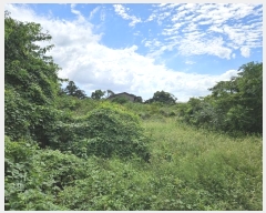  2024Ÿ��32244 ���� ���ֽ� �Ѱ�� ������ 3242-1      ����(������)���