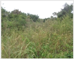  2024Ÿ��32244 ���� ���ֽ� �Ѱ�� ������ 3242-1      ����(������)���