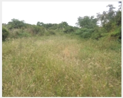  2024Ÿ��32244 ���� ���ֽ� �Ѱ�� ������ 3242-1      ����(������)���