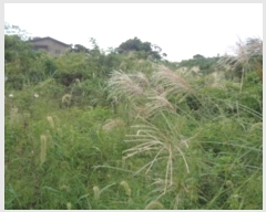  2024Ÿ��32244 ���� ���ֽ� �Ѱ�� ������ 3242-1      ����(������)���