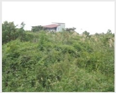  2024Ÿ��32244 ���� ���ֽ� �Ѱ�� ������ 3242-1      ����(������)���