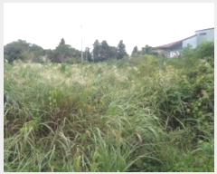  2024Ÿ��32244 ���� ���ֽ� �Ѱ�� ������ 3242-1      ����(������)���