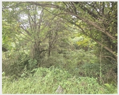  2024Ÿ32329  ֽ ֿ  19      (Ӿ)