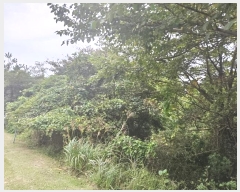  2024Ÿ32329  ֽ ֿ  19      (Ӿ)