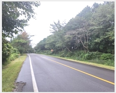  2024Ÿ32329  ֽ ֿ  19      (Ӿ)