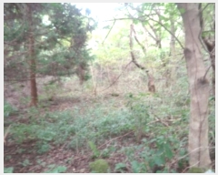  2024Ÿ32329  ֽ ֿ  19      (Ӿ)