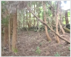  2024Ÿ32329  ֽ ֿ  19      (Ӿ)