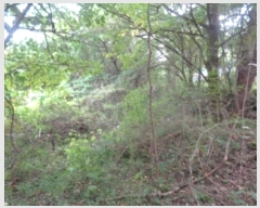  2024Ÿ32329  ֽ ֿ  19      (Ӿ)