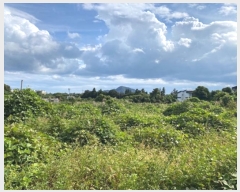  2024Ÿ32596    ︮ 265      ()