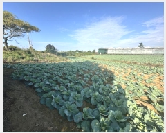  2024Ÿ33131  ֽ Ѱ 긮 1422-1      (Ӿ)