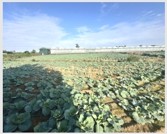  2024Ÿ33131  ֽ Ѱ 긮 1422-1      (Ӿ)