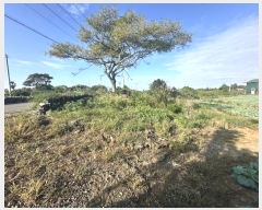  2024Ÿ33131  ֽ Ѱ 긮 1422-1      (Ӿ)