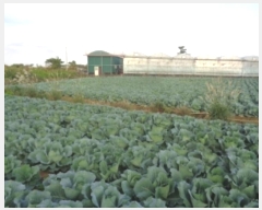  2024Ÿ33131  ֽ Ѱ 긮 1422-1      (Ӿ)