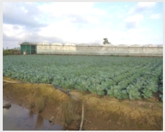  2024Ÿ33131  ֽ Ѱ 긮 1422-1      (Ӿ)