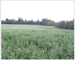  2024Ÿ��33780 ���� �������� ������ �ȼ��� 1714      ����(��1)���