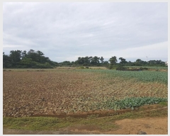  2024Ÿ34790  ֽ Ѱ  3506-2      (1)