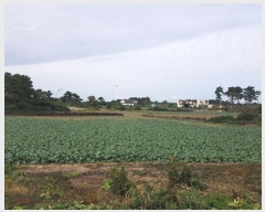  2024Ÿ34790  ֽ Ѱ  3506-2      (1)