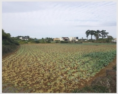  2024Ÿ34790  ֽ Ѱ  3506-2      (1)