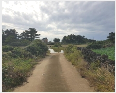  2024Ÿ34790  ֽ Ѱ  3506-2      (1)